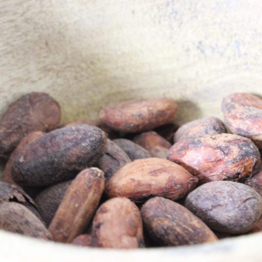 Fèves de cacao Criollo - Les épices curieuses