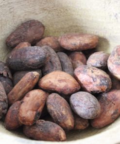 Fèves de cacao Criollo - Les épices curieuses