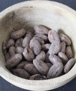 Fèves de cacao Nacional - Les épices curieuses