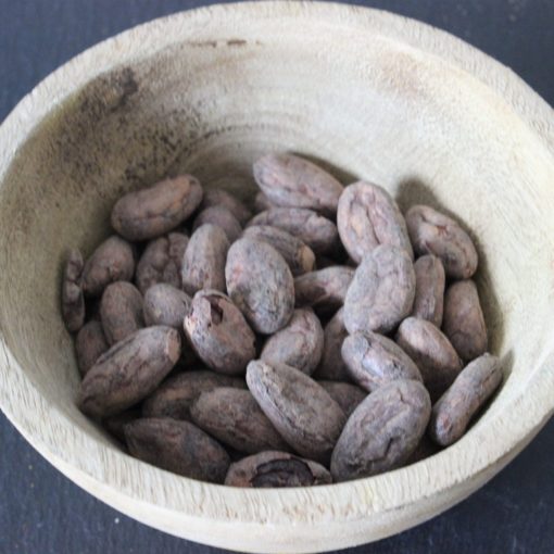 Fèves de cacao Nacional - Les épices curieuses