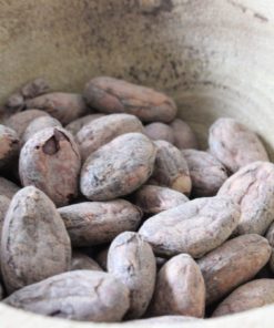 Fèves de cacao Nacional - Les épices curieuses