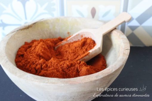 Bol en bois rempli d'épices rouges avec une cuillère, fond coloré.