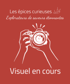 Visuel en cours - Les épices curieuses